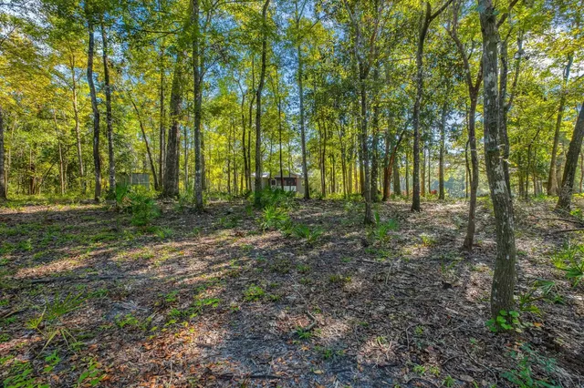 $205,000 | 70 Fonigan Road, Sopchoppy, FL 32358