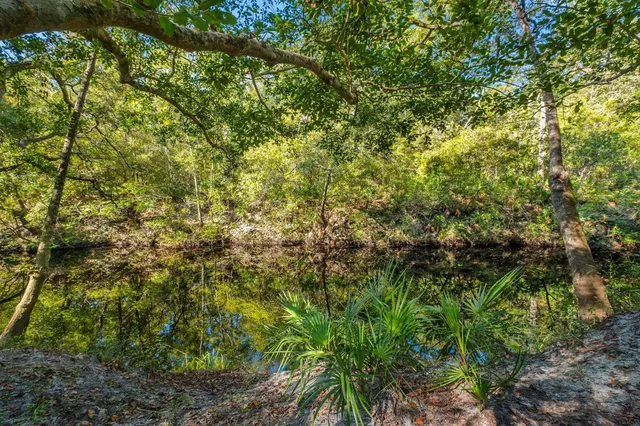 $205,000 | 70 Fonigan Road, Sopchoppy, FL 32358