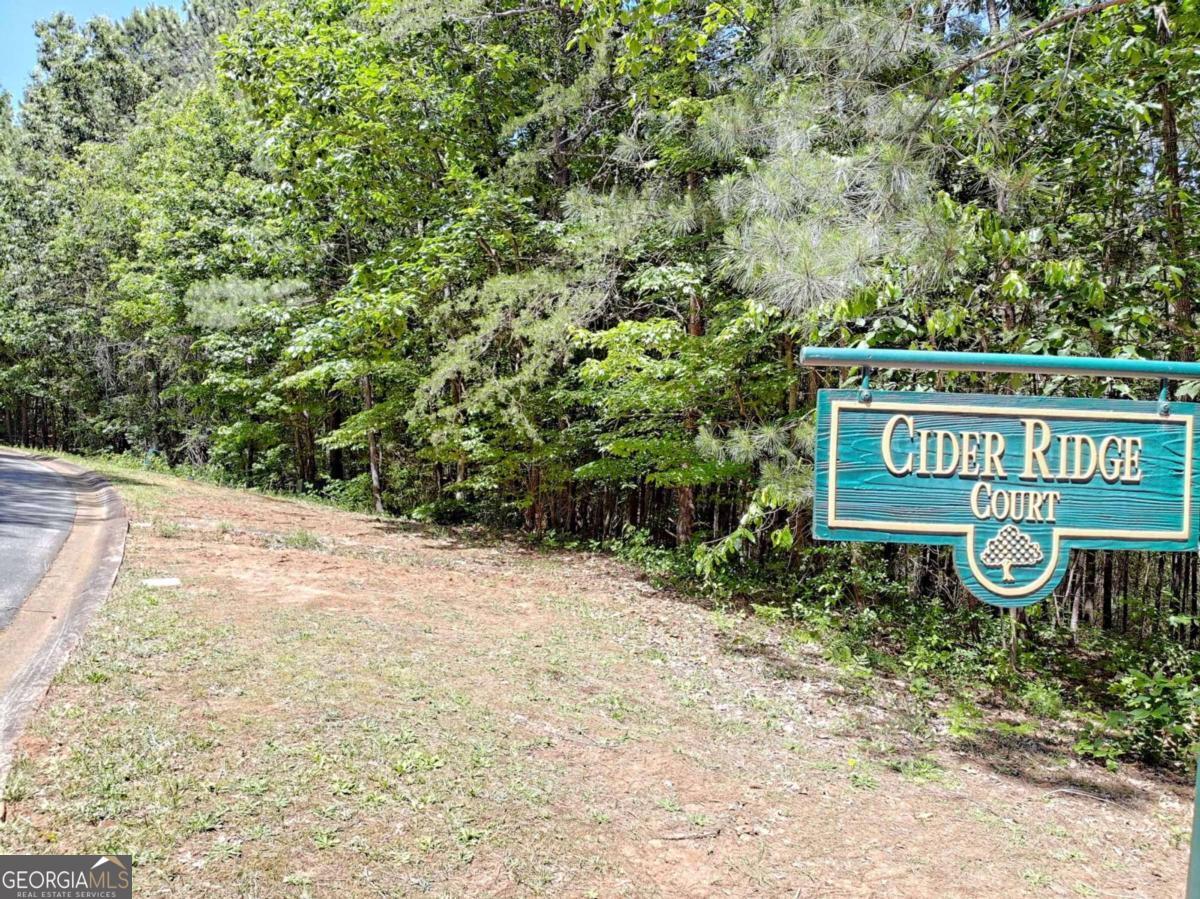 0 Cider Ridge Court, Unit 923 Clarkesville, GA 30523 - Photo 11 of 14