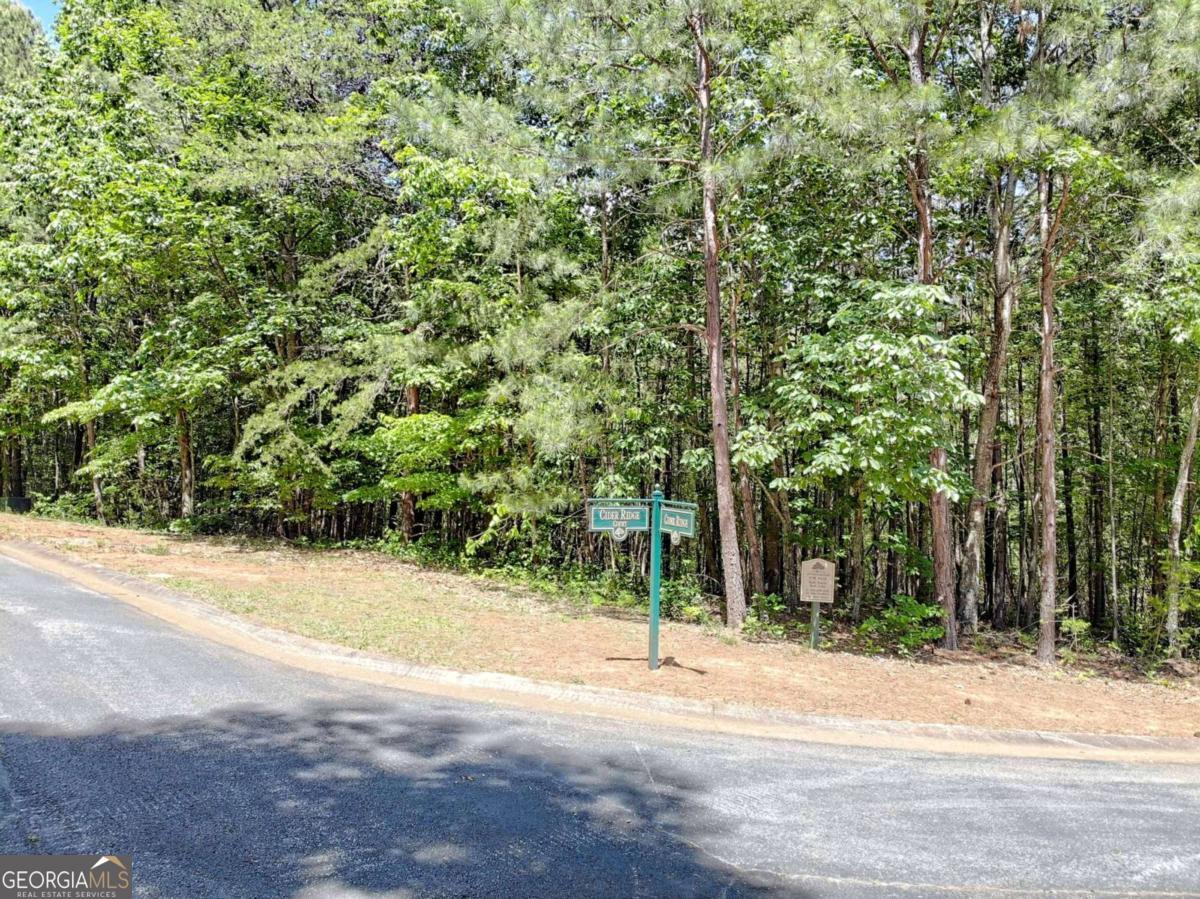 0 Cider Ridge Court, Unit 923 Clarkesville, GA 30523 - Photo 12 of 14