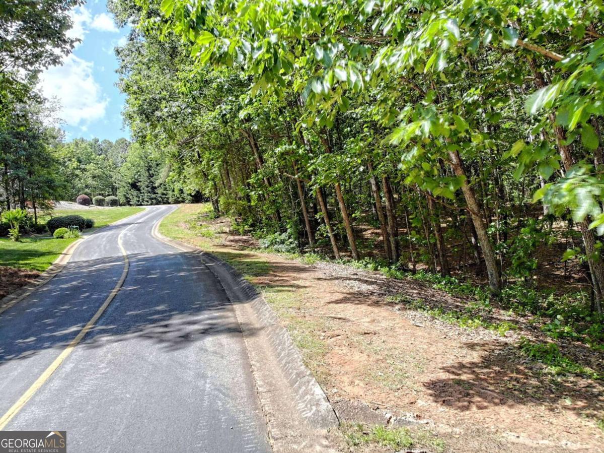 0 Cider Ridge Court, Unit 923 Clarkesville, GA 30523 - Photo 14 of 14