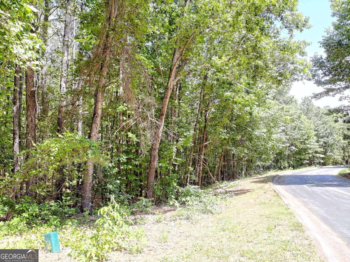 0 Cider Ridge Court, Unit 923 Clarkesville, GA 30523 - Photo 3 of 14