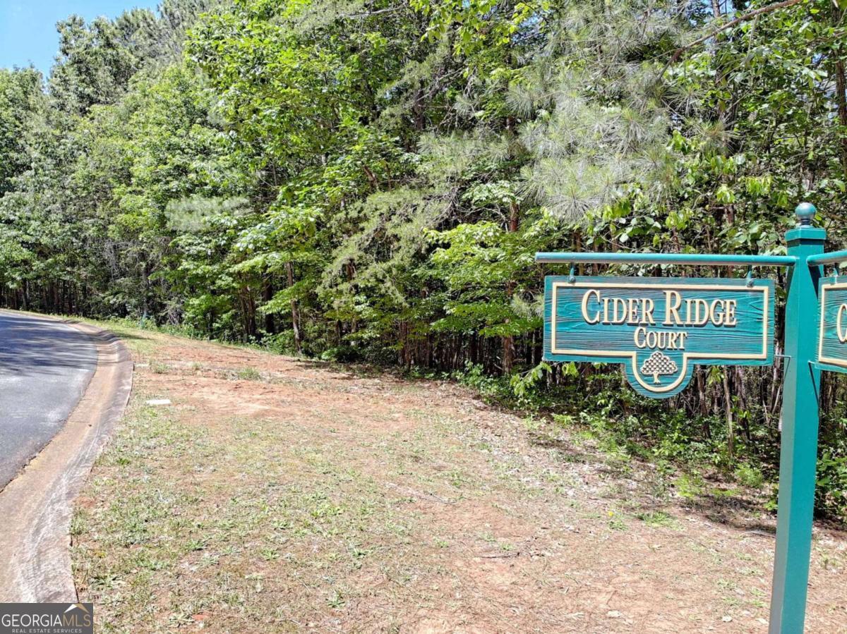 0 Cider Ridge Court, Unit 923 Clarkesville, GA 30523 - Photo 4 of 14