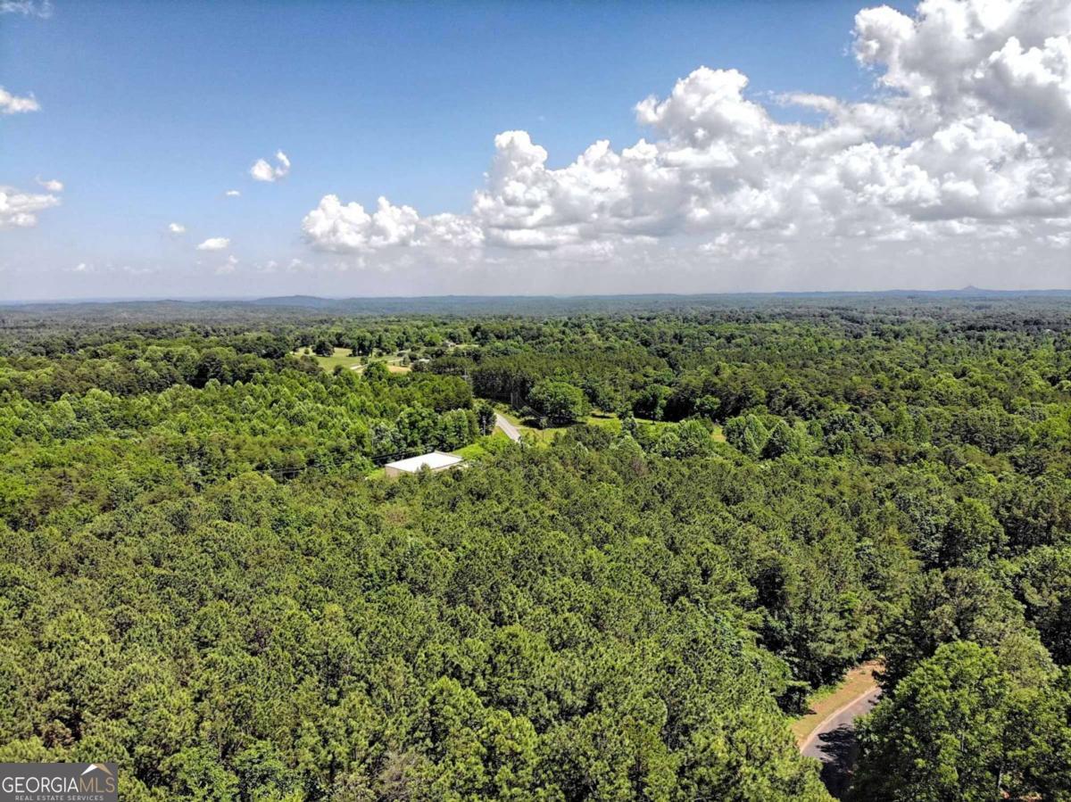 0 Cider Ridge Court, Unit 923 Clarkesville, GA 30523 - Photo 5 of 14