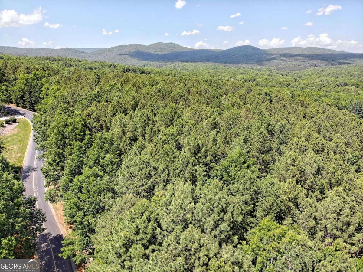 0 Cider Ridge Court, Unit 923 Clarkesville, GA 30523 - Photo 6 of 14