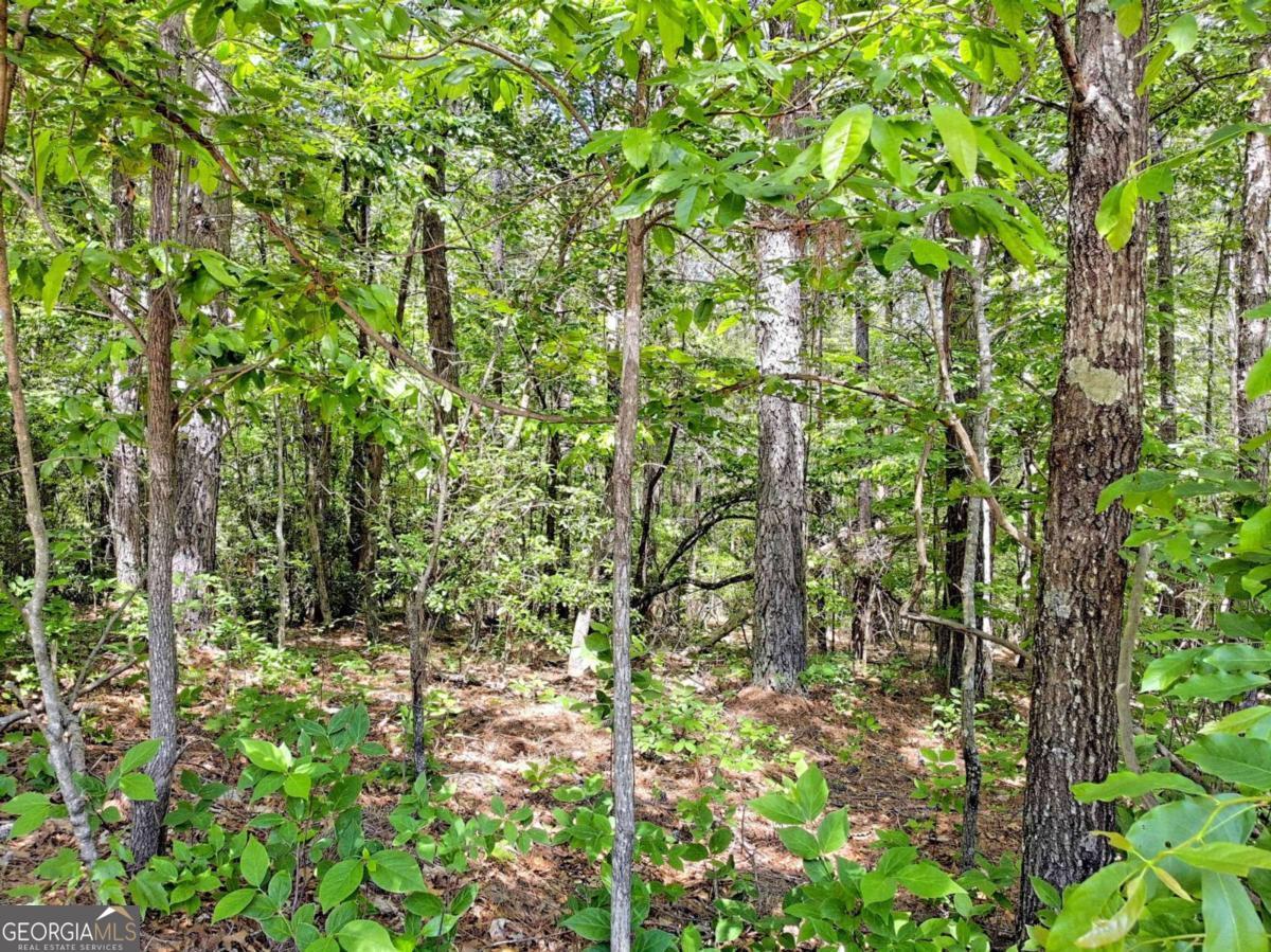 0 Cider Ridge Court, Unit 923 Clarkesville, GA 30523 - Photo 8 of 14