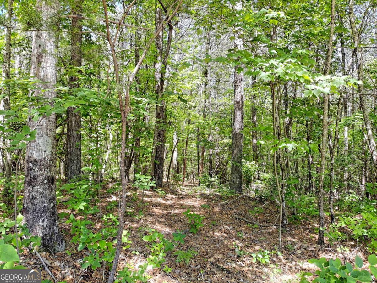 0 Cider Ridge Court, Unit 923 Clarkesville, GA 30523 - Photo 9 of 14