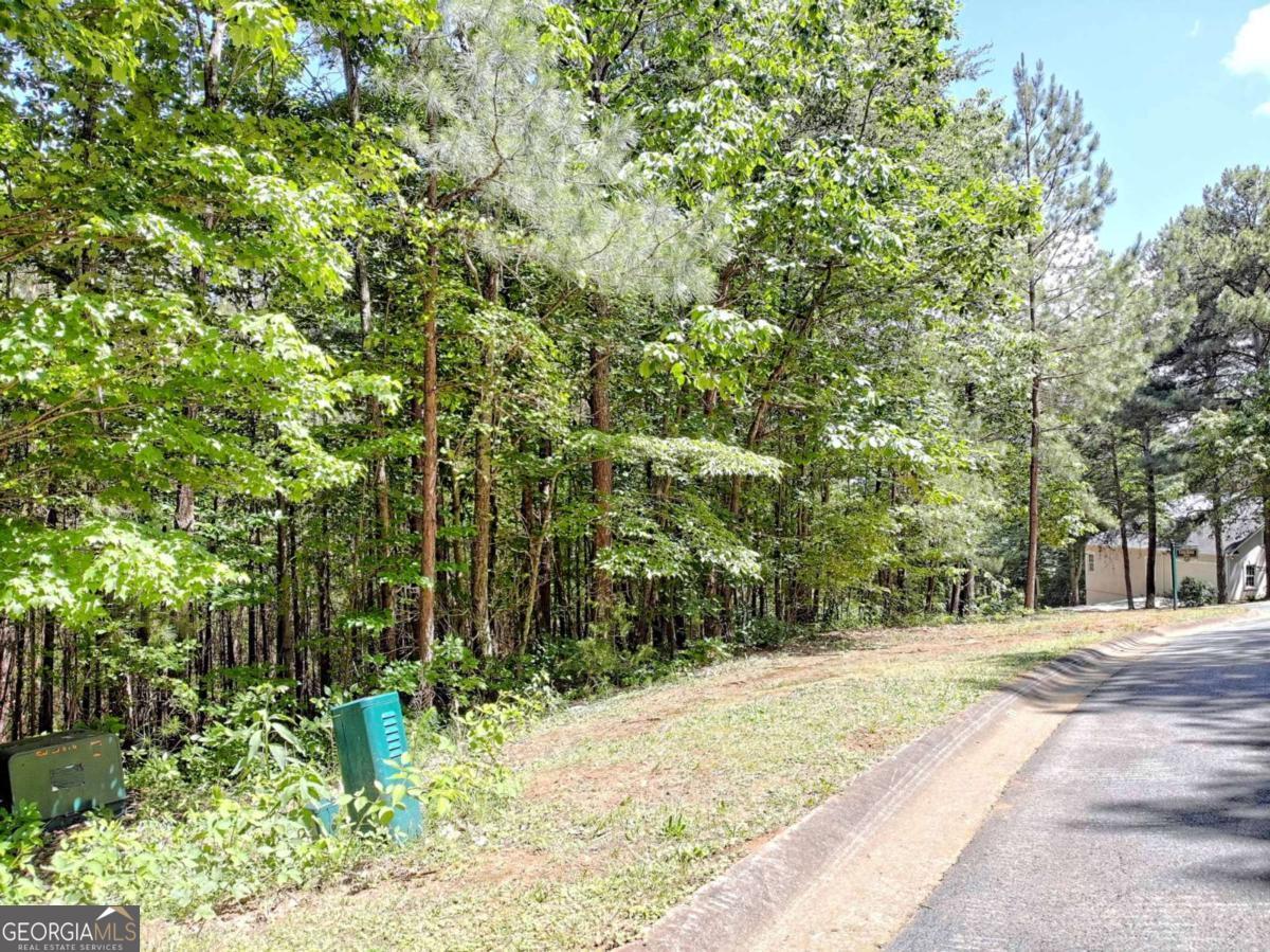 0 Cider Ridge Court, Unit 923 Clarkesville, GA 30523 - Photo 10 of 14