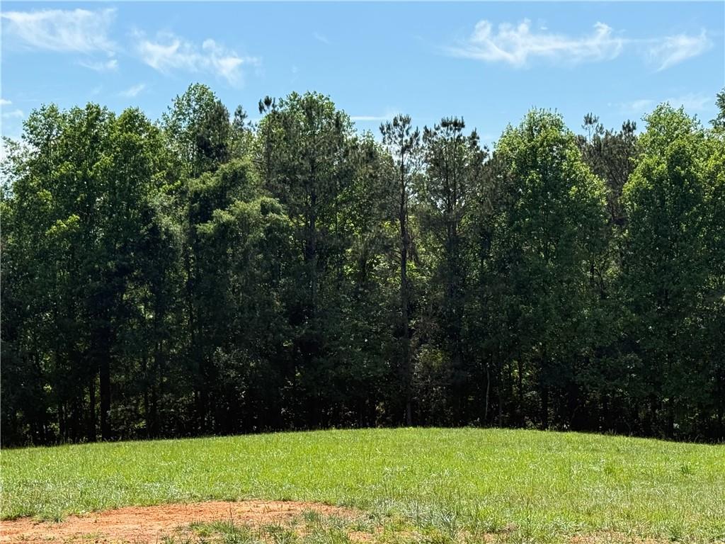 603 Wall Bridge Road Clarkesville, GA 30523 - Photo 5 of 21