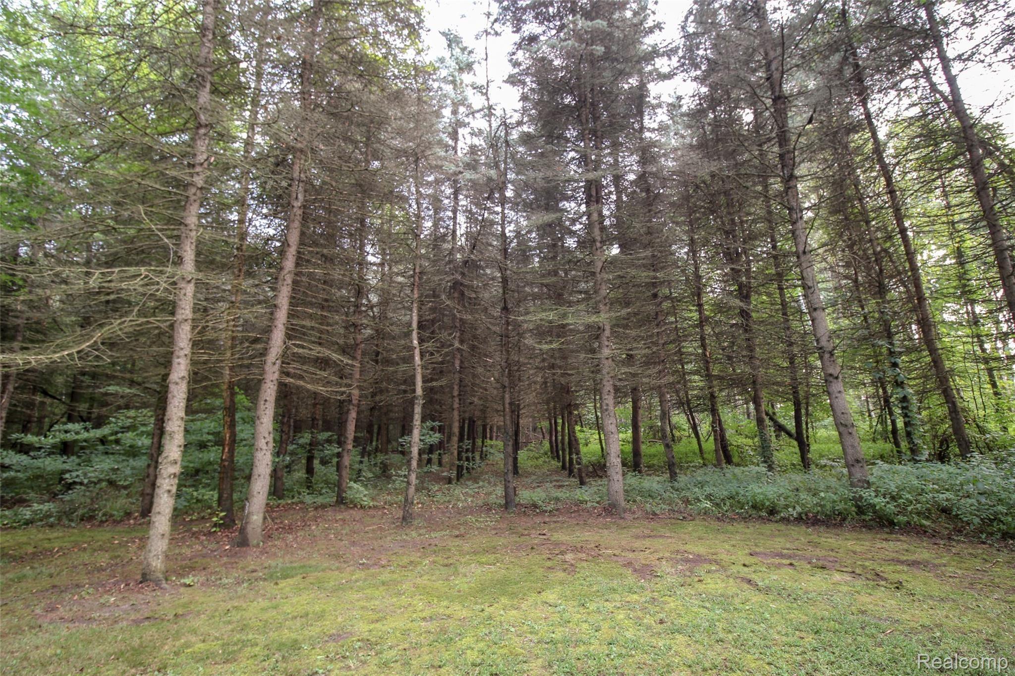 10295 Wilson Road Montrose, MI 48457 - Photo 30 of 32 30.JPG