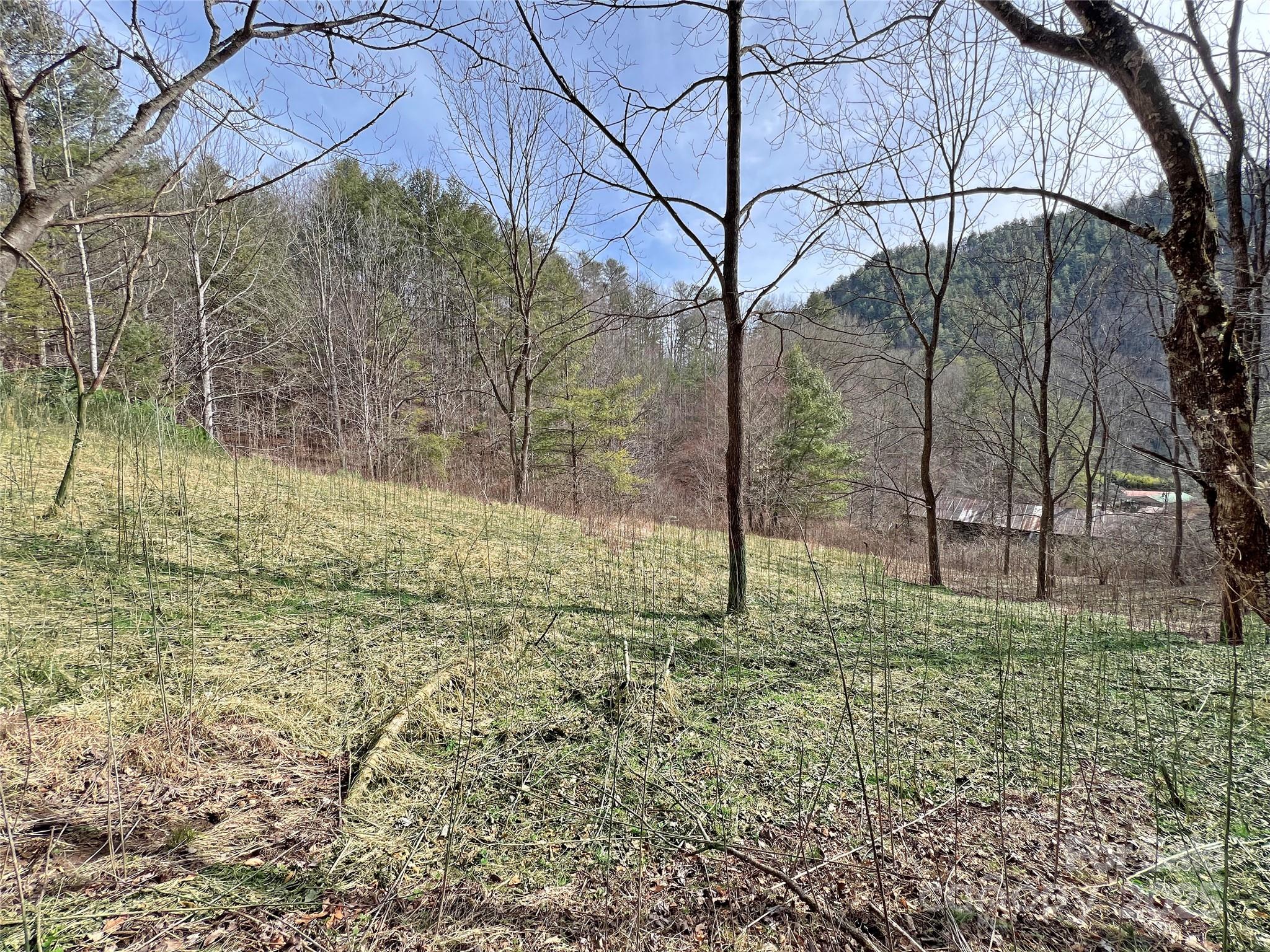 2182 B Meadow Fork Road Hot Springs, NC 28743 - Photo 1 of 21 Gallery Image 1