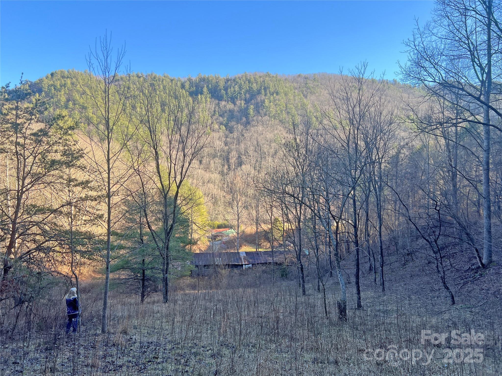 2182 B Meadow Fork Road Hot Springs, NC 28743 - Photo 11 of 21 Gallery Image 11
