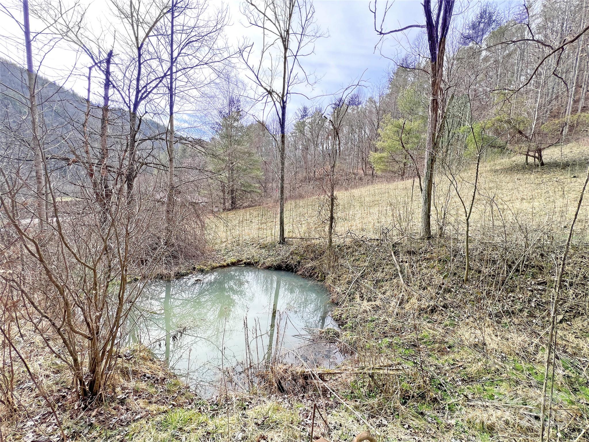 2182 B Meadow Fork Road Hot Springs, NC 28743 - Photo 13 of 21 Gallery Image 13