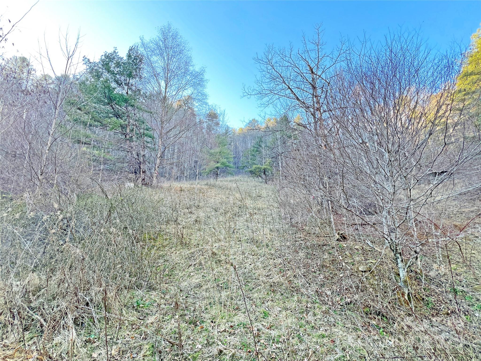 2182 B Meadow Fork Road Hot Springs, NC 28743 - Photo 14 of 21 Gallery Image 14