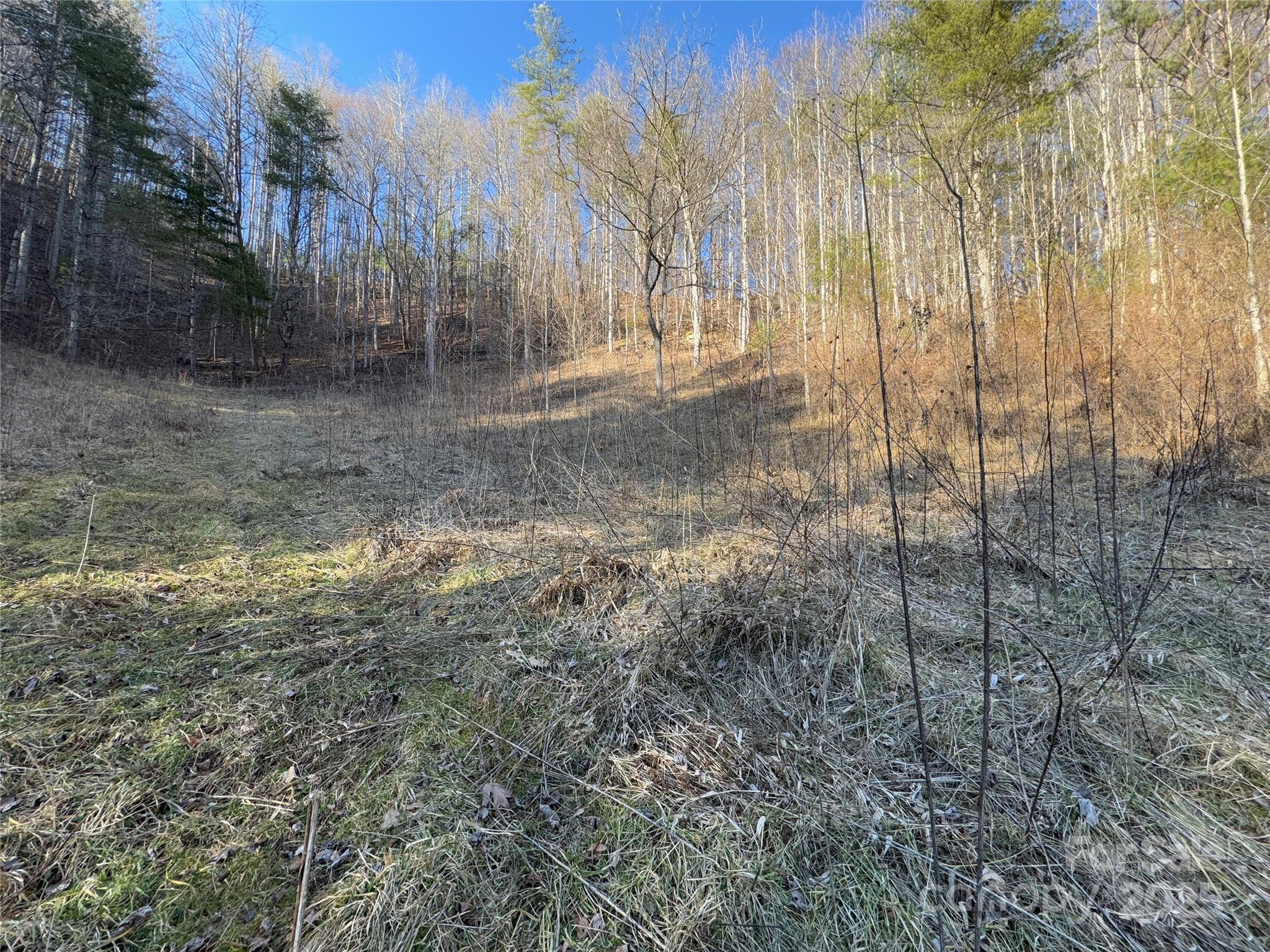 2182 B Meadow Fork Road Hot Springs, NC 28743 - Photo 16 of 21 Gallery Image 16