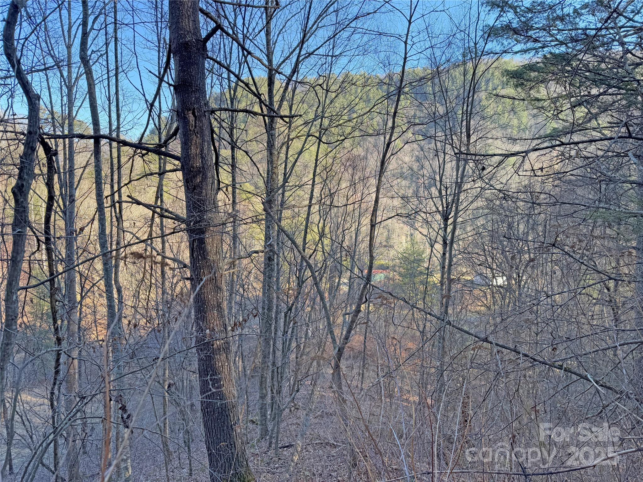 2182 B Meadow Fork Road Hot Springs, NC 28743 - Photo 17 of 21 Gallery Image 17