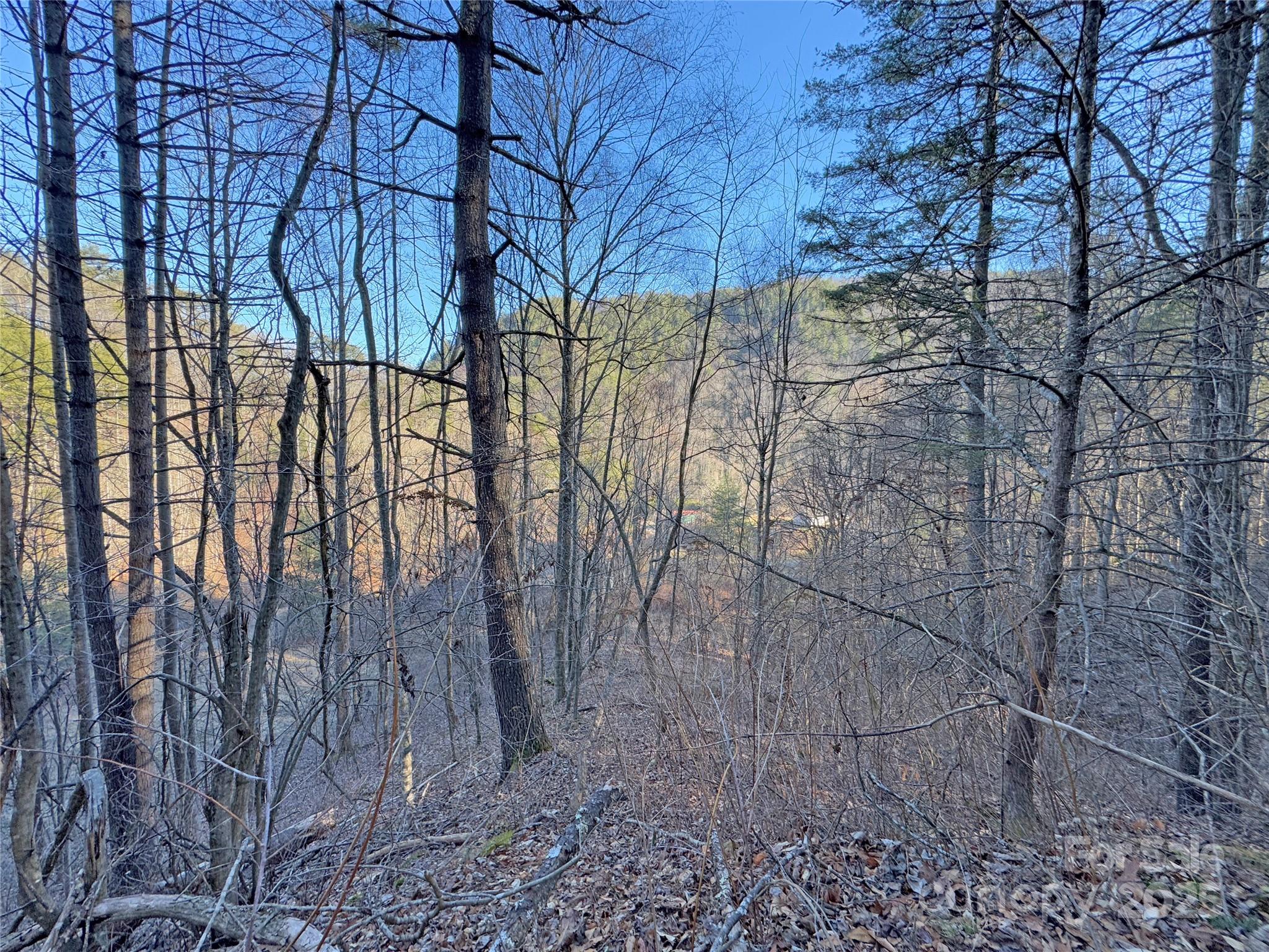2182 B Meadow Fork Road Hot Springs, NC 28743 - Photo 19 of 21 Gallery Image 19