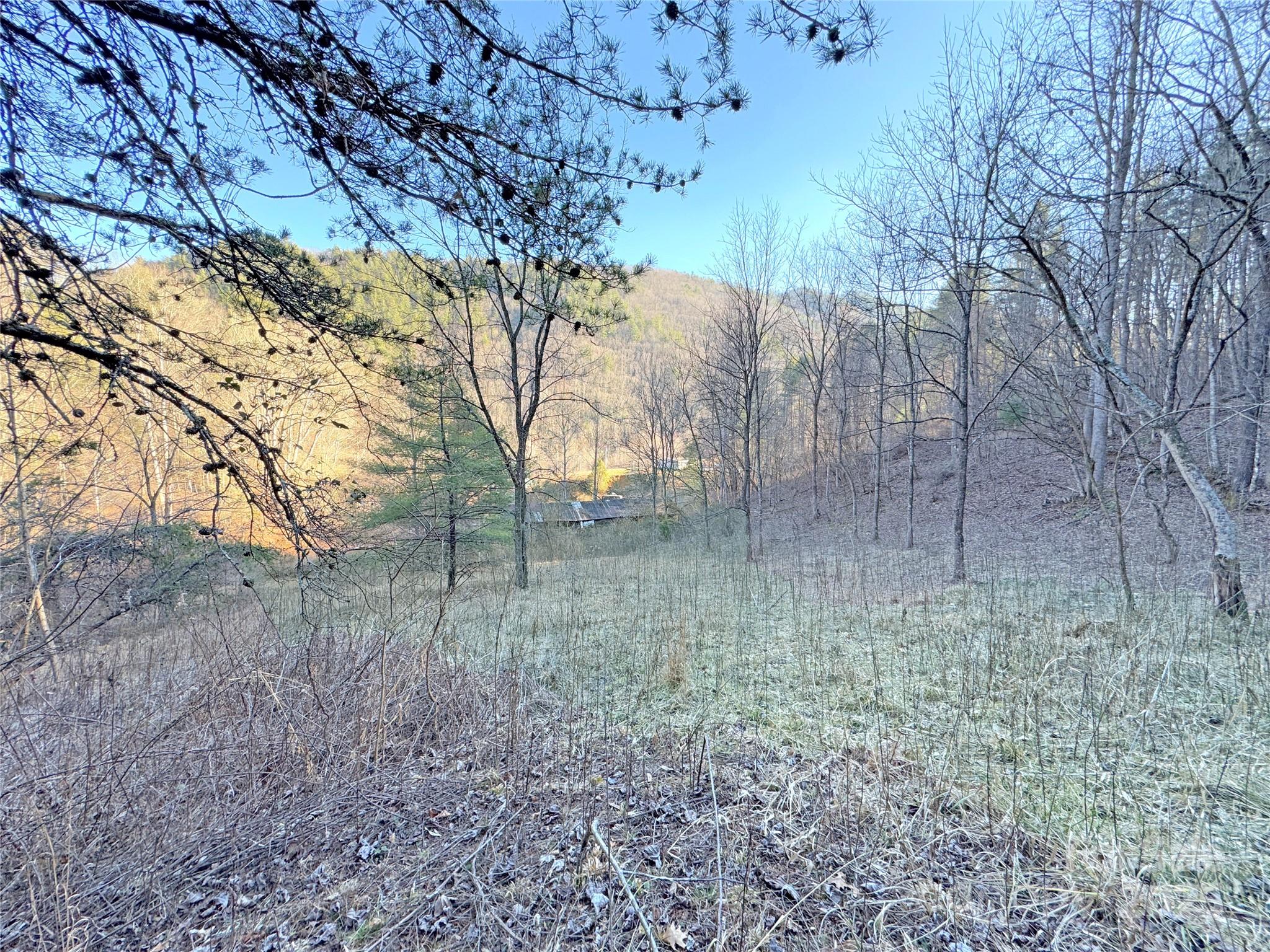 2182 B Meadow Fork Road Hot Springs, NC 28743 - Photo 20 of 21 Gallery Image 20