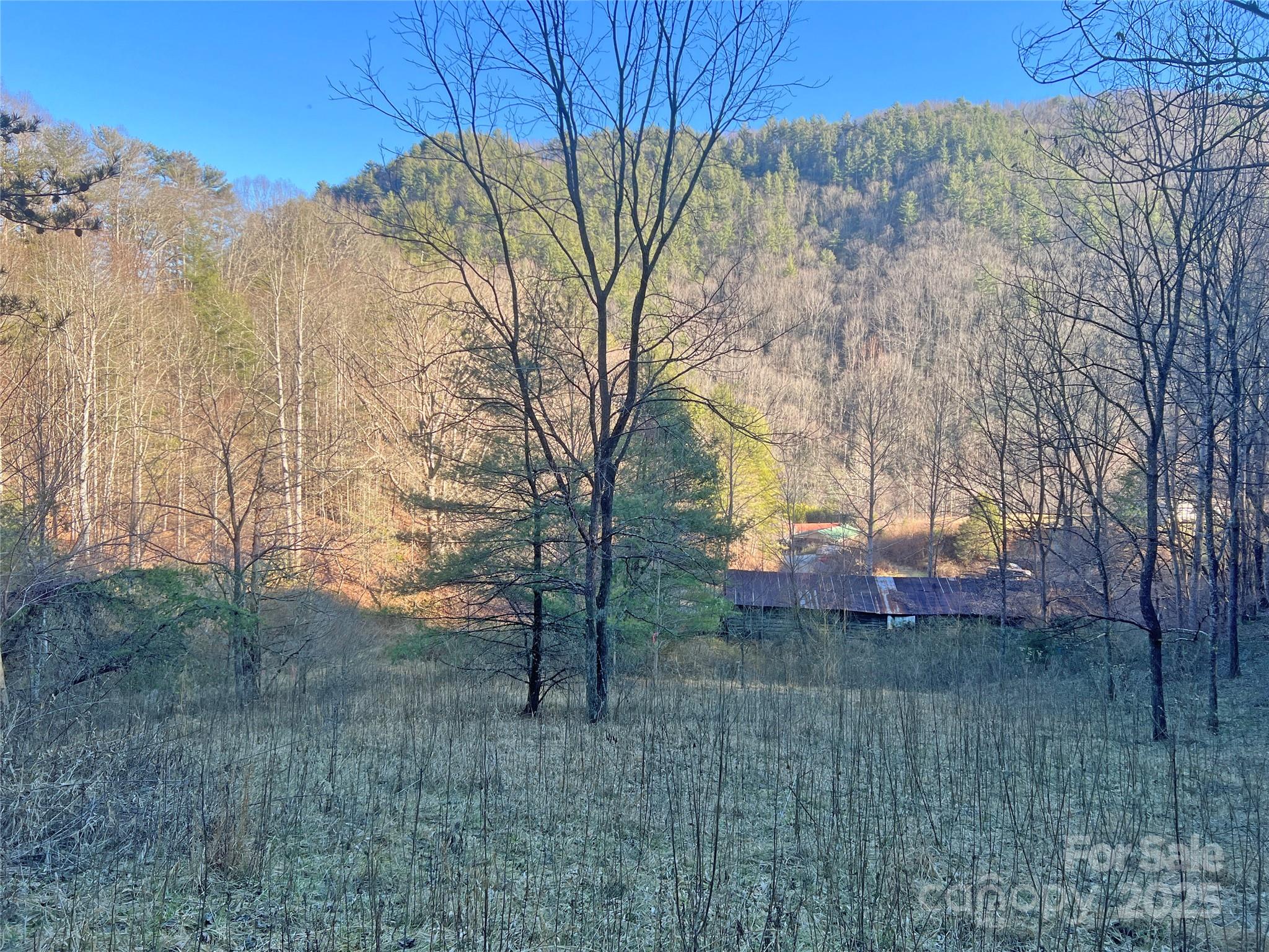 2182 B Meadow Fork Road Hot Springs, NC 28743 - Photo 3 of 21 Gallery Image 3