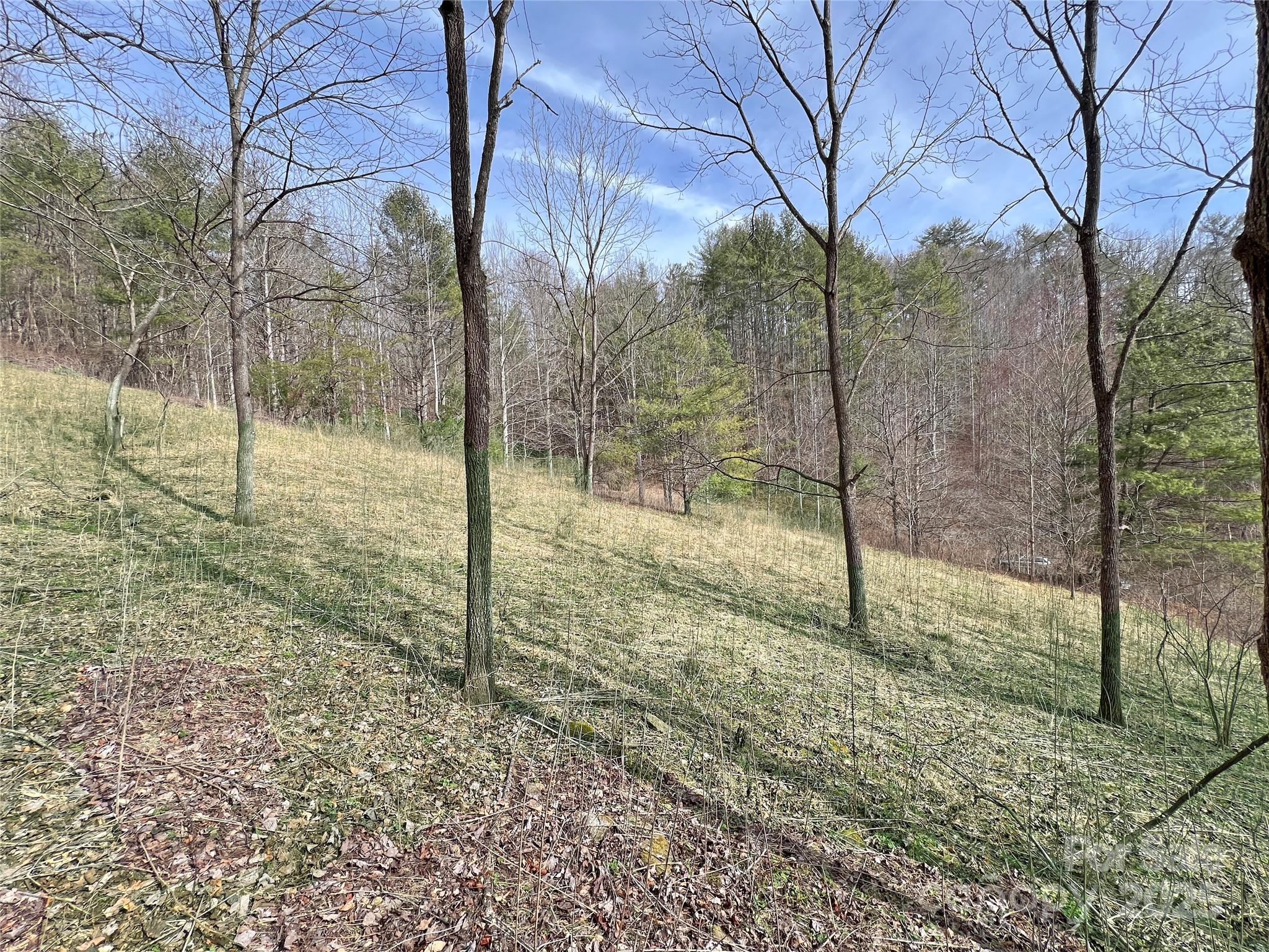 2182 B Meadow Fork Road Hot Springs, NC 28743 - Photo 4 of 21 Gallery Image 4