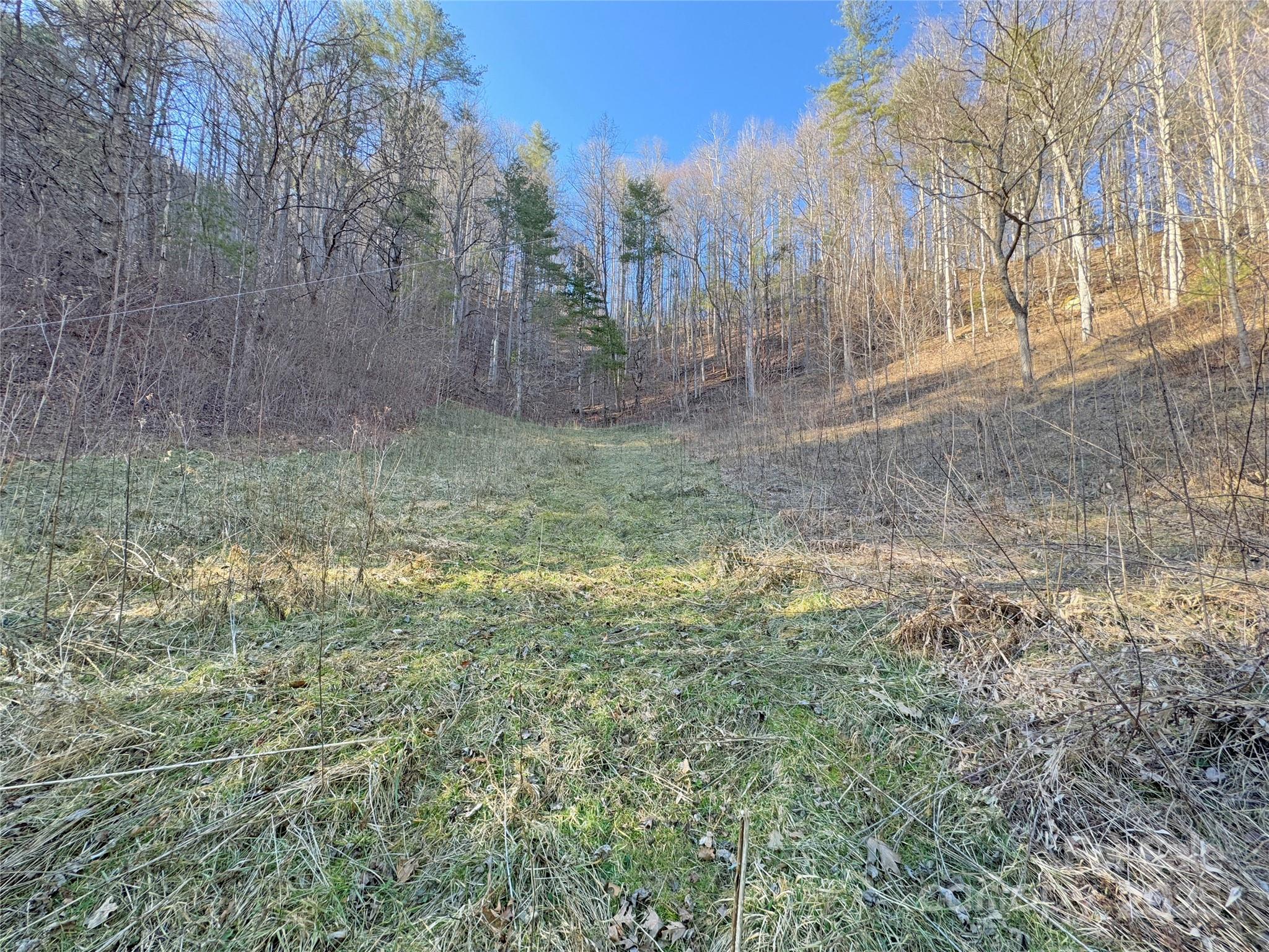 2182 B Meadow Fork Road Hot Springs, NC 28743 - Photo 5 of 21 Gallery Image 5