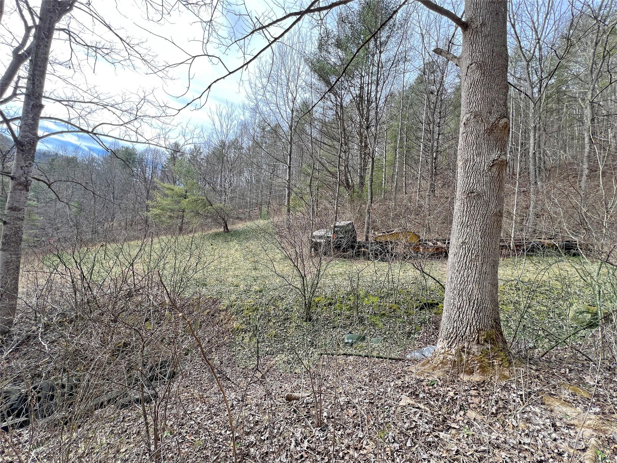 2182 B Meadow Fork Road Hot Springs, NC 28743 - Photo 7 of 21 Gallery Image 7