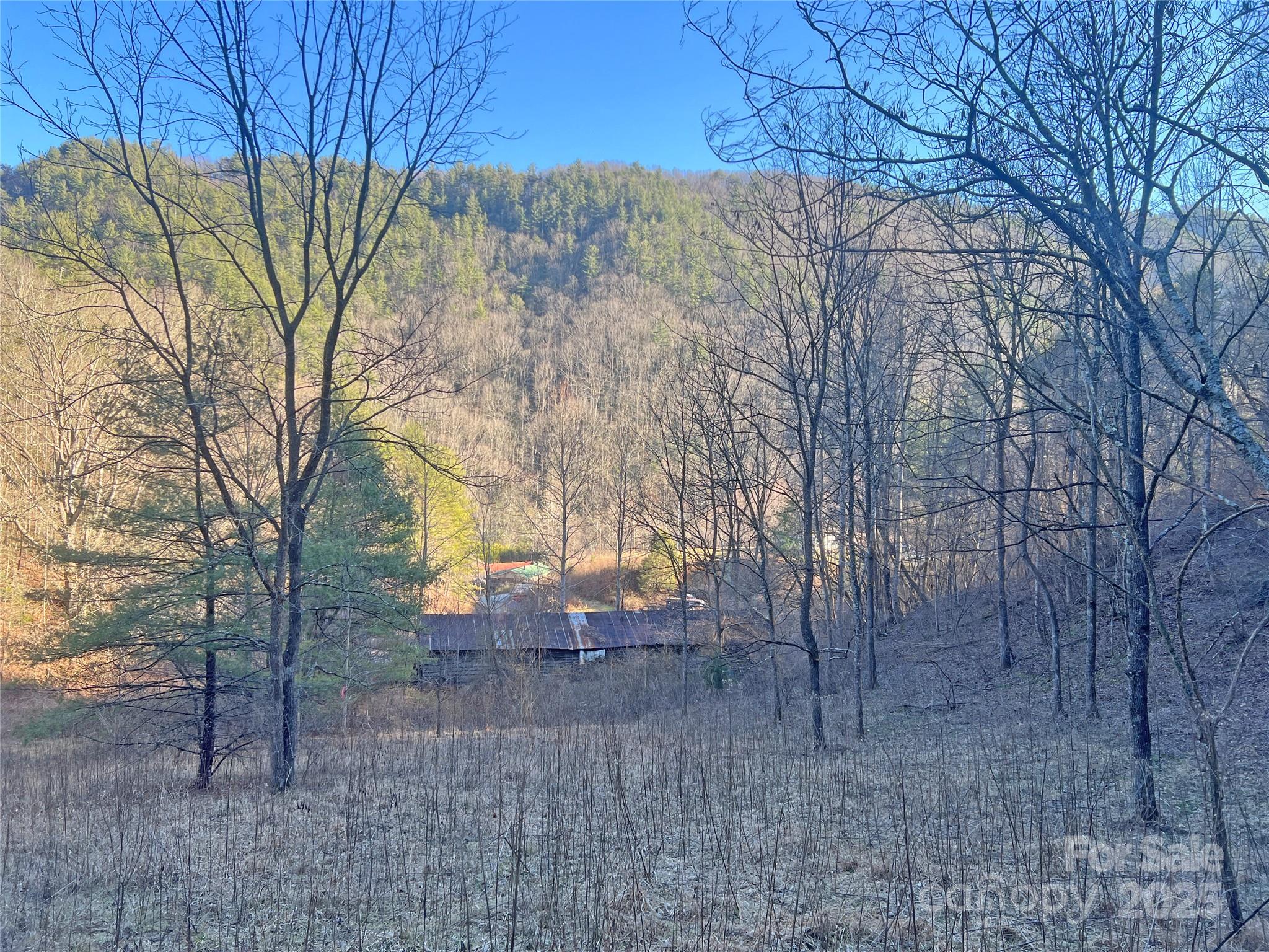 2182 B Meadow Fork Road Hot Springs, NC 28743 - Photo 9 of 21 Gallery Image 9