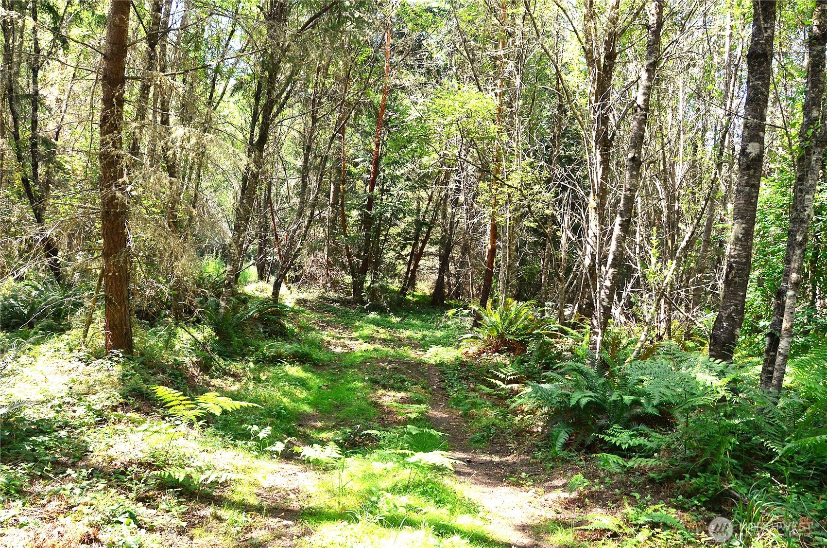 3-nka Romans Road Port Townsend, WA 98368 - Photo 4 of 7