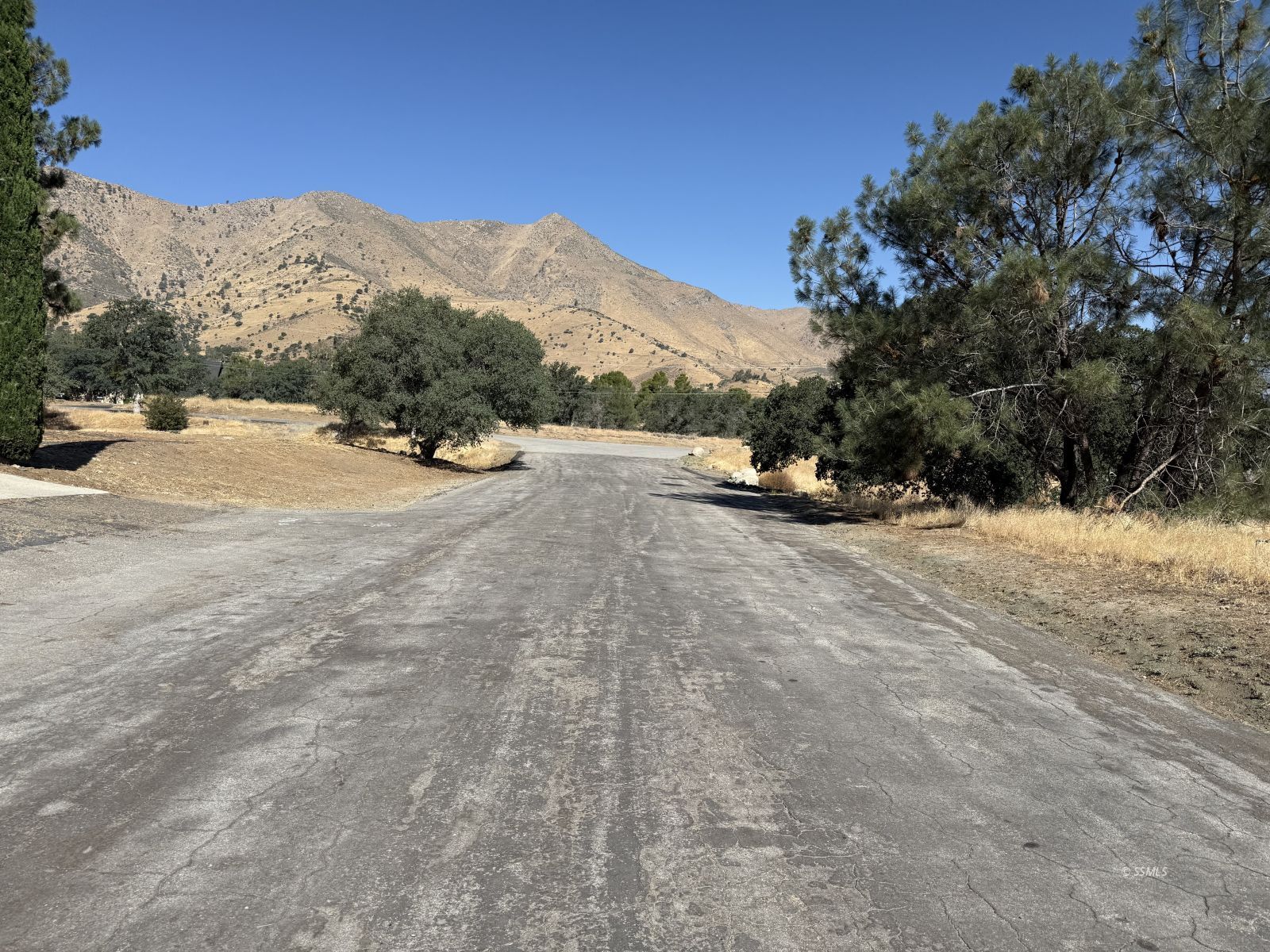 Big Springs Road Mountain Mesa, CA 93240 - Photo 6 of 8