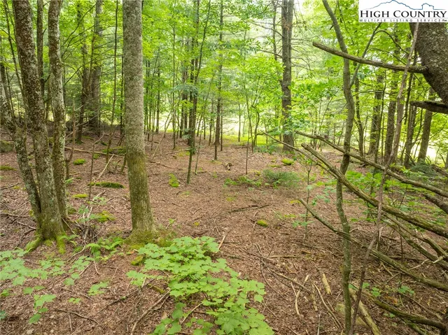 $750,000 | 230 Westcove Lane, Boone, NC 28607