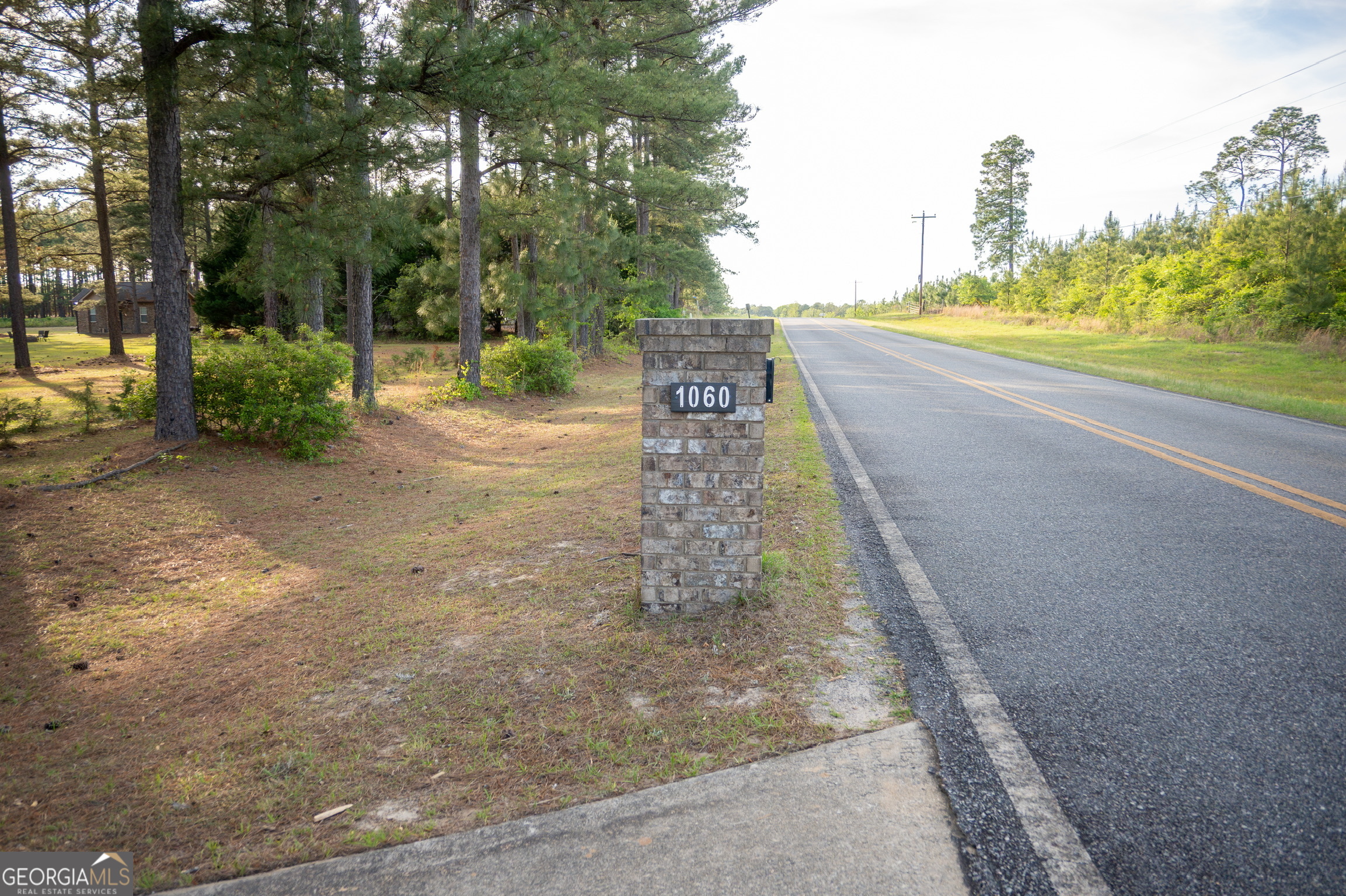 1060 Edna Moore Road Eastman, GA 31023 - Photo 3 of 87