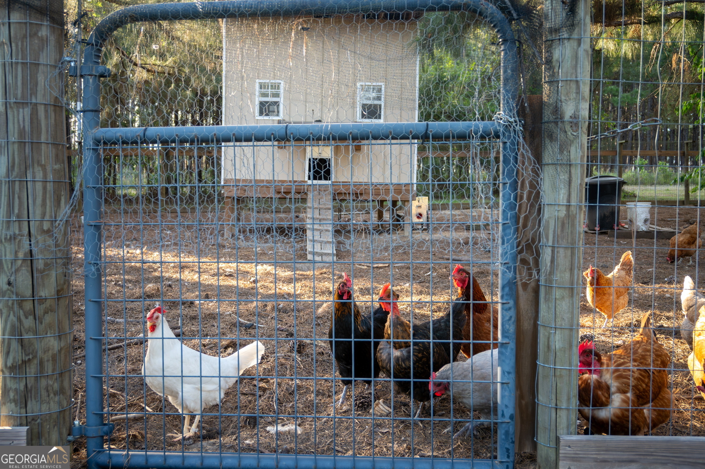 1060 Edna Moore Road Eastman, GA 31023 - Photo 66 of 87