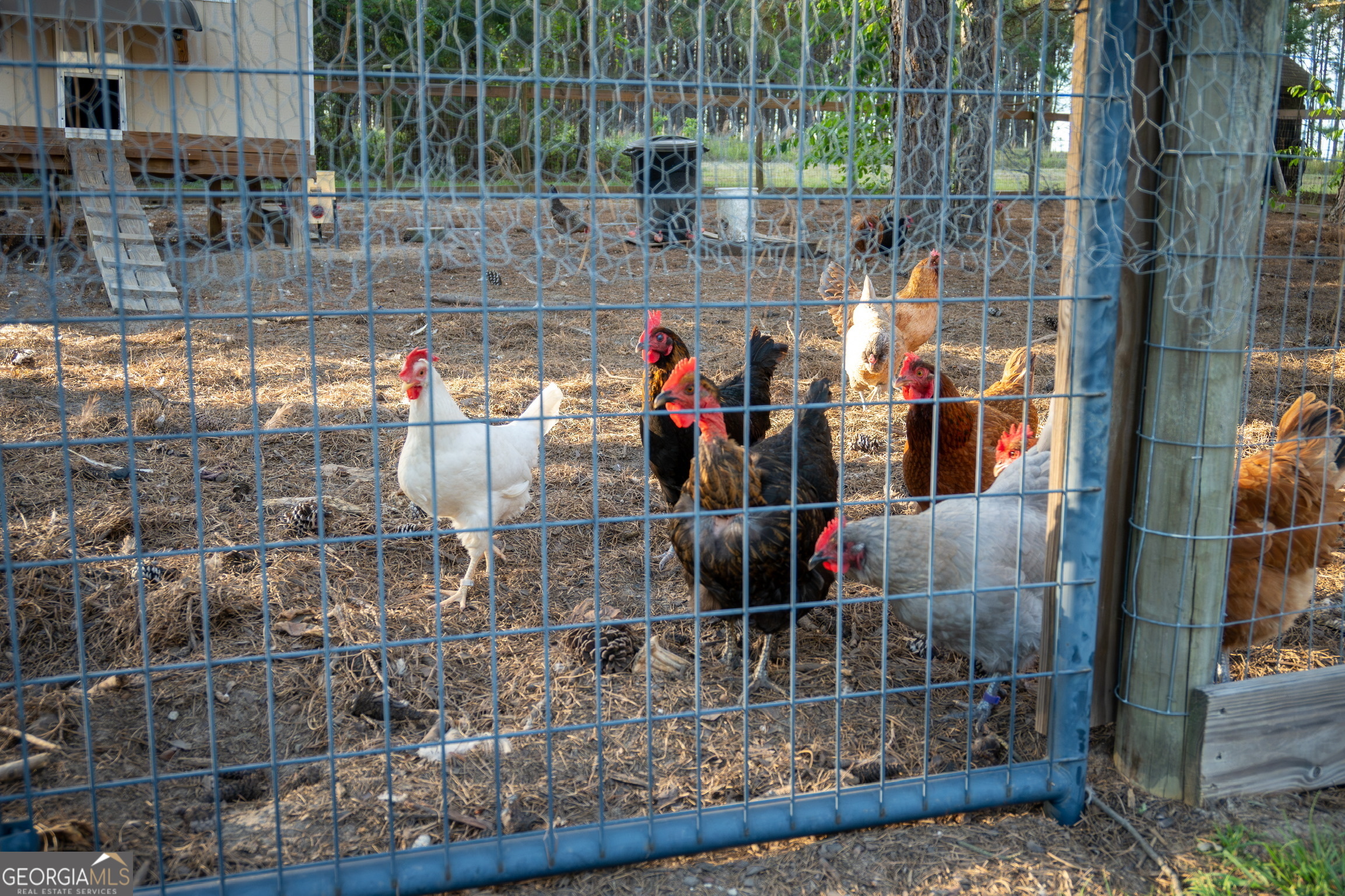 1060 Edna Moore Road Eastman, GA 31023 - Photo 67 of 87