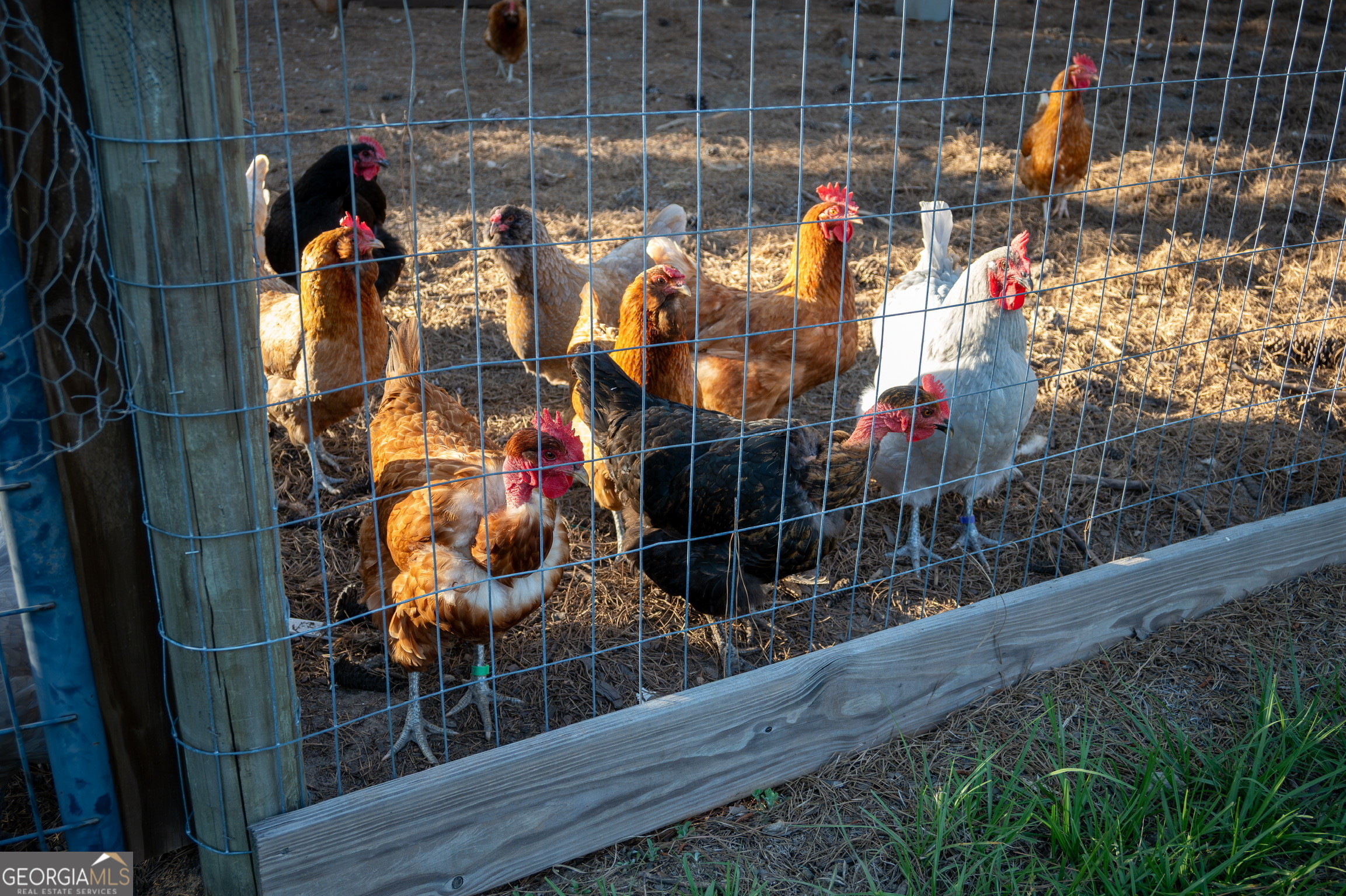 1060 Edna Moore Road Eastman, GA 31023 - Photo 68 of 87