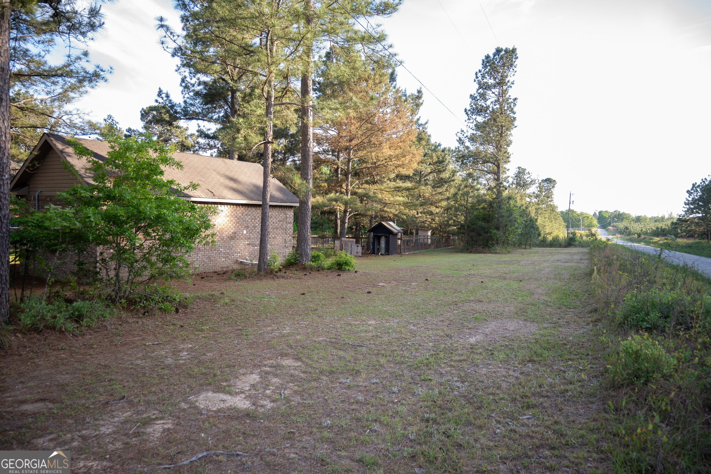 1060 Edna Moore Road Eastman, GA 31023 - Photo 86 of 88 a view of a yard with a tree
