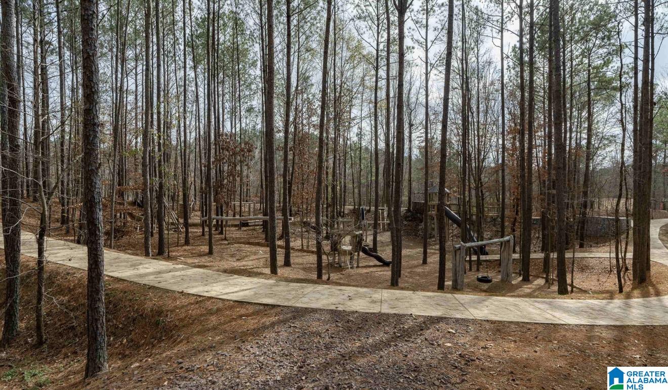 670 Rosebury Road Helena, AL 35080 - Photo 57 of 59