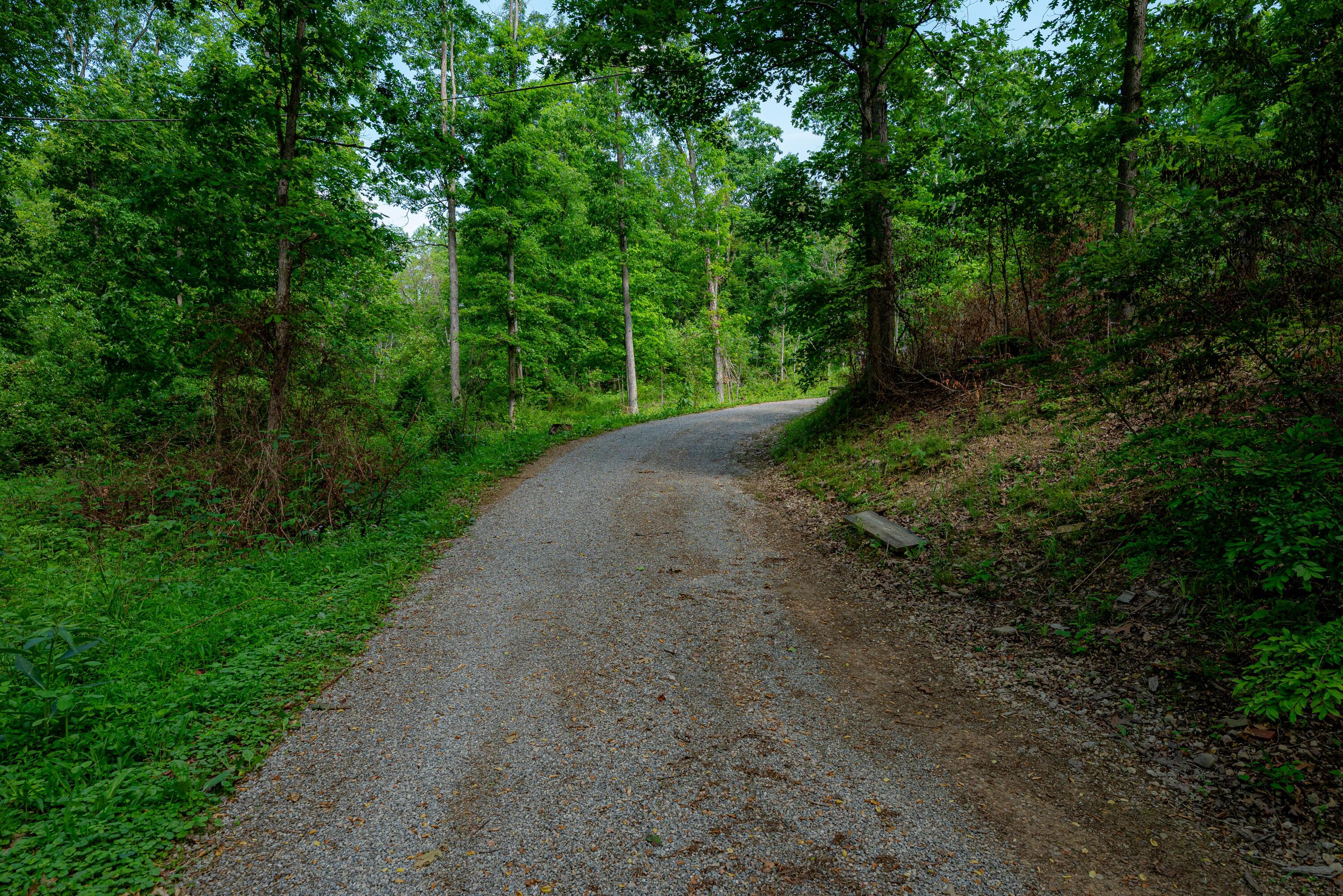 462 Hartsook Road Vinton, OH 45686 - Photo 44 of 60 Cabin 9
