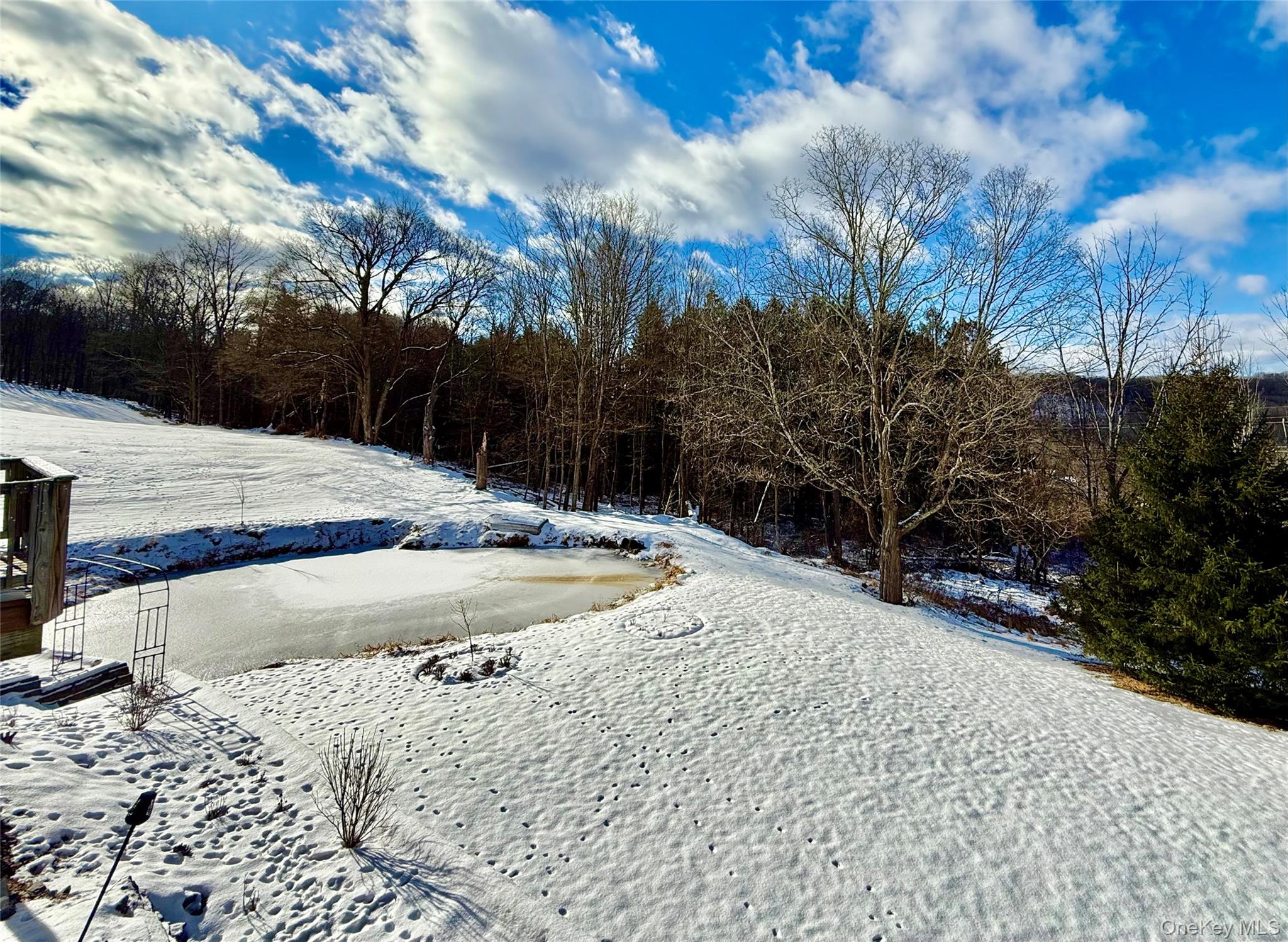 912-918 Hollow Road Salt Point, NY 12578 - Photo 28 of 29 a view of a backyard of the house