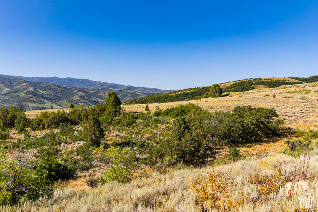 3344 North Oak Cyn Road, Unit 553 Huntsville, UT 84317 - Photo 7 of 16