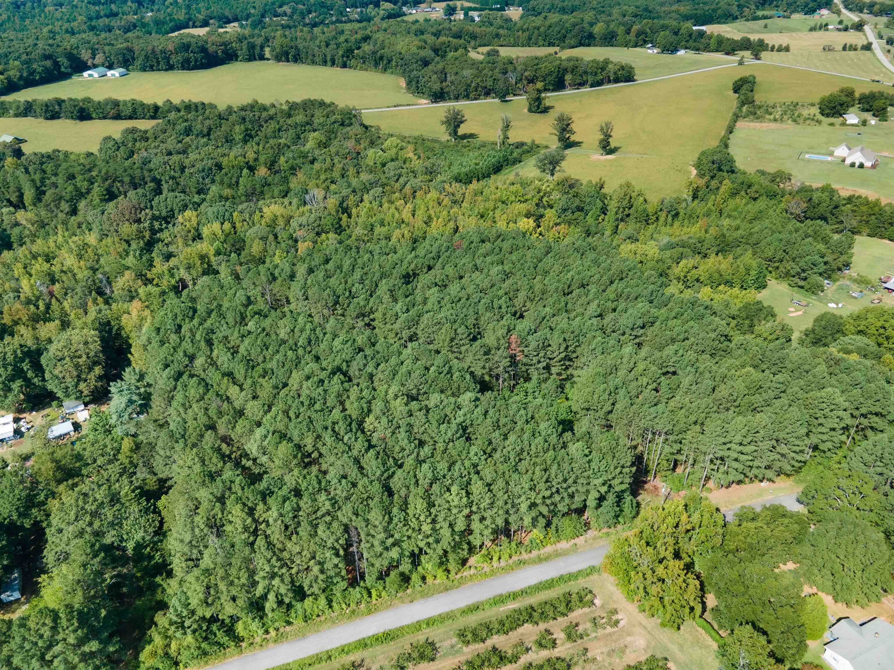 Lot 24 Arrowood Branch Road Chesnee, SC 29323 - Photo 4 of 5