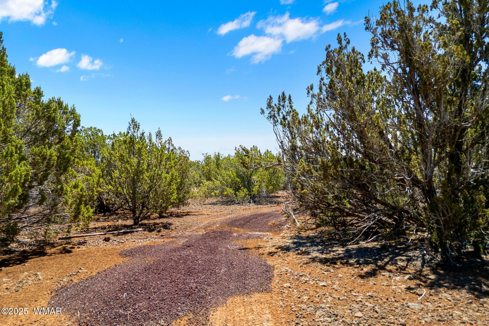 9071 Chimisa Ranch Road Show Low, AZ 85901 - Photo 8 of 16 9071ChimisaRanchRd-ShowLow-AZ-15