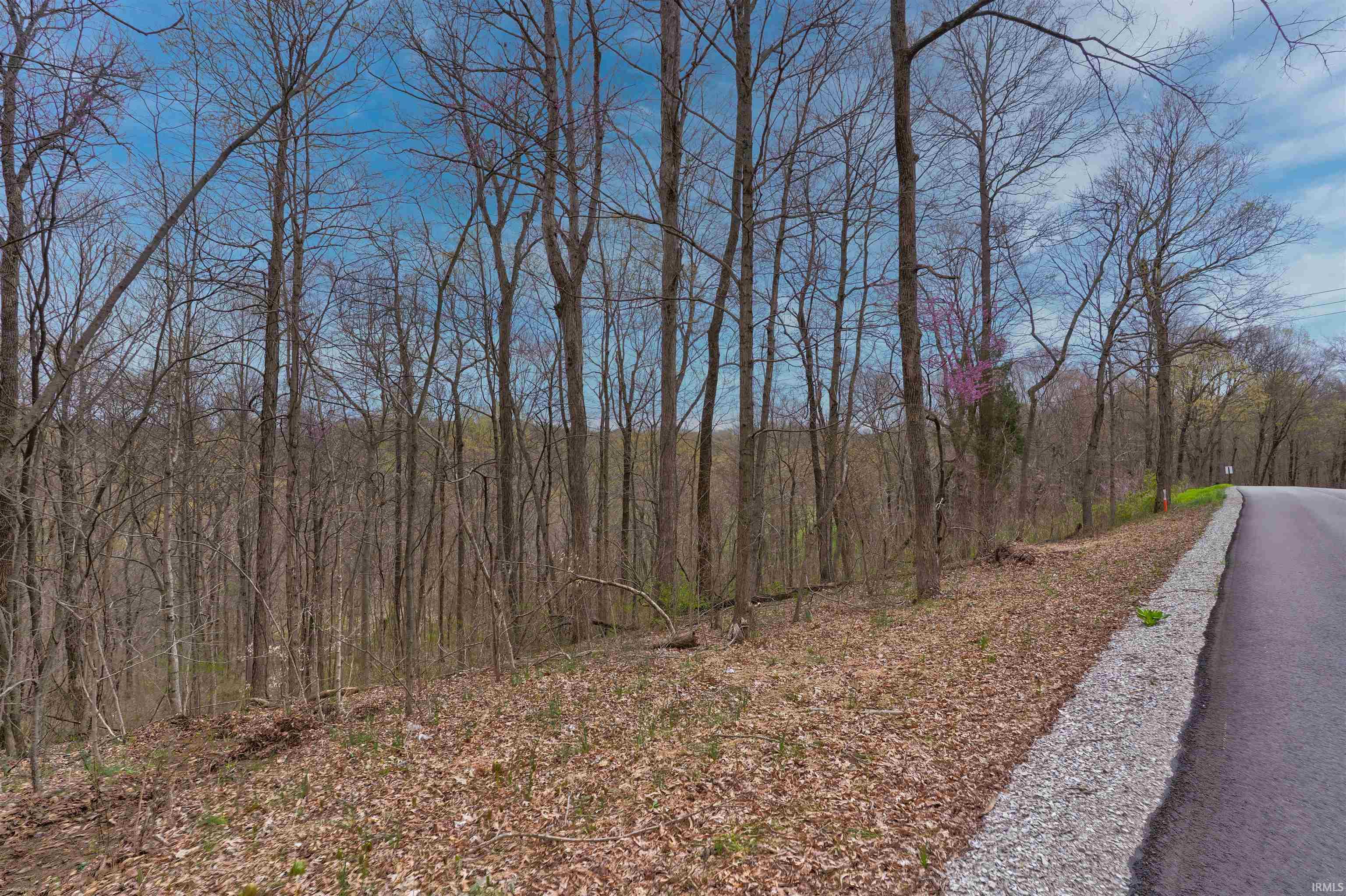0 Brushy Fork Road Tell City, IN 47586 - Photo 27 of 30