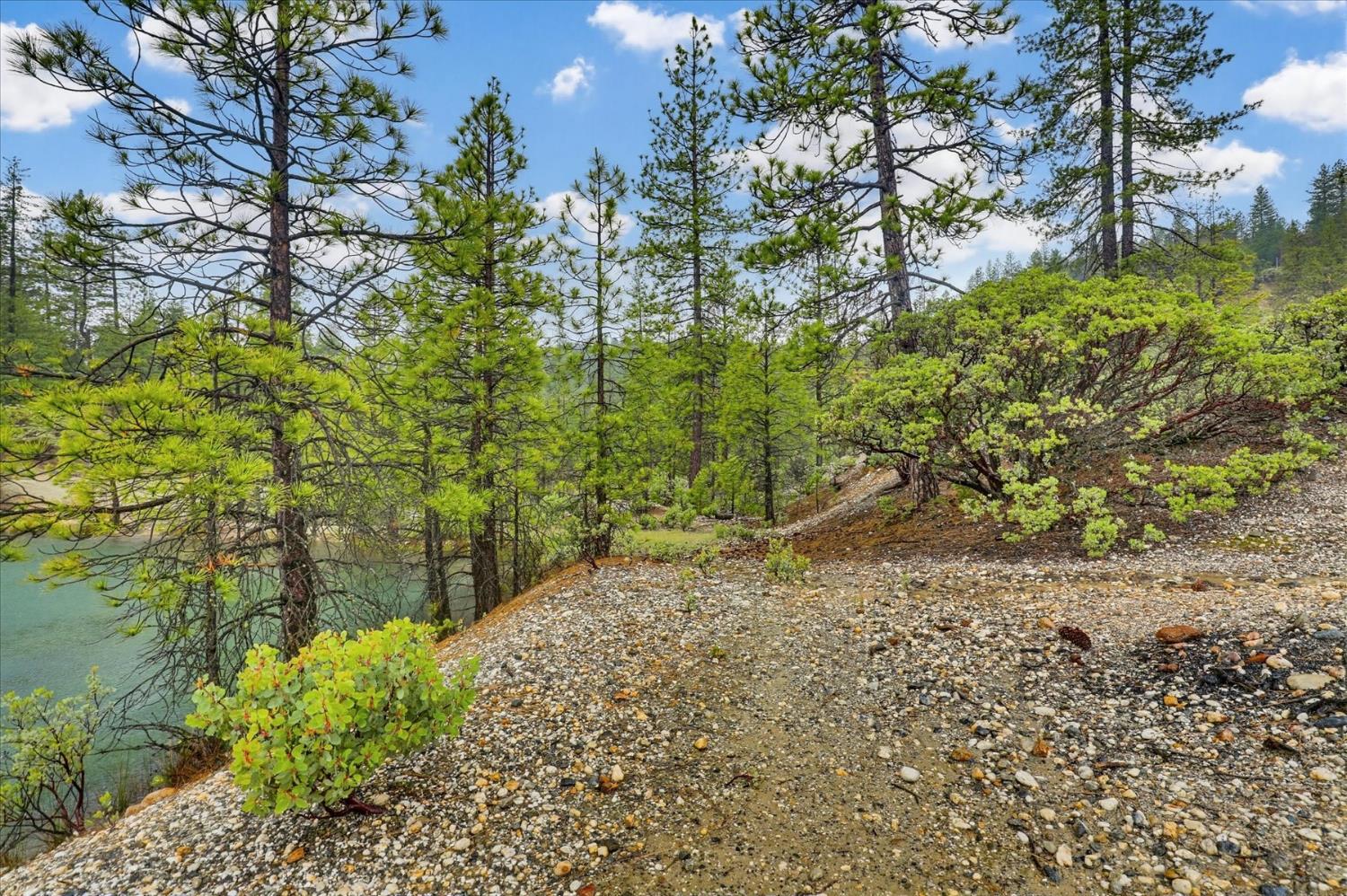 13751 Sailor Flat Road Nevada City, CA 95959 - Photo 43 of 49