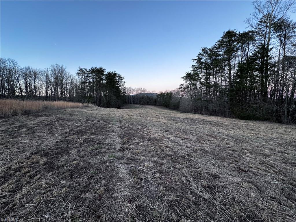 Lot 6 Johnson Road King, NC 27021 - Photo 1 of 21