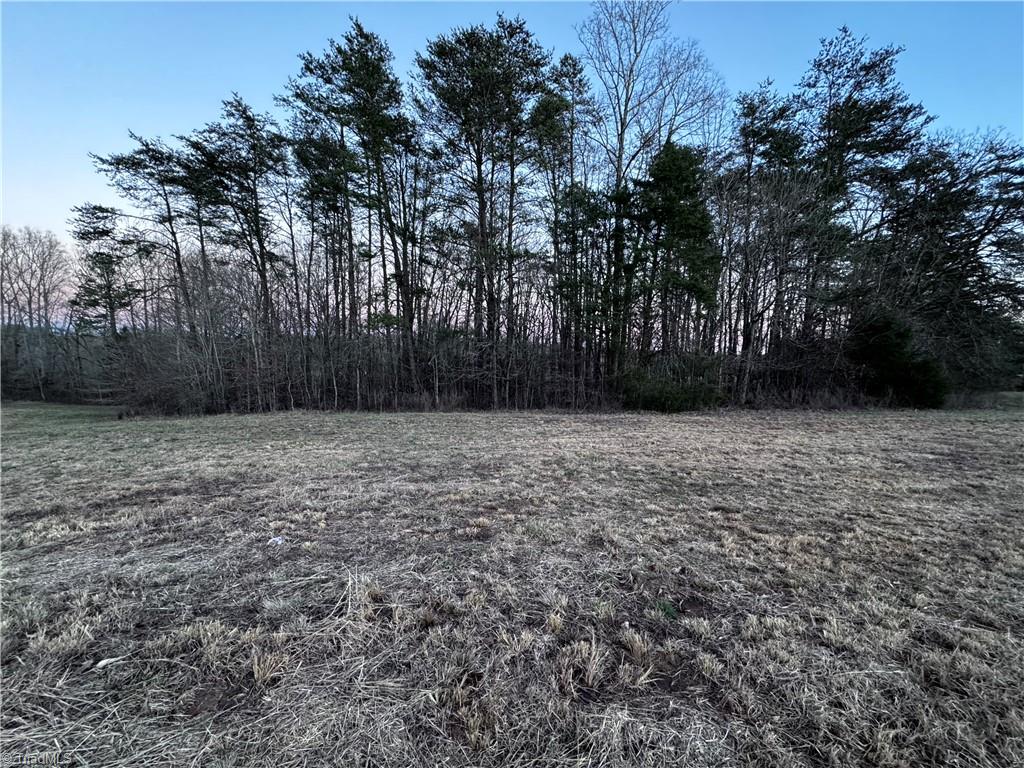Lot 6 Johnson Road King, NC 27021 - Photo 18 of 21