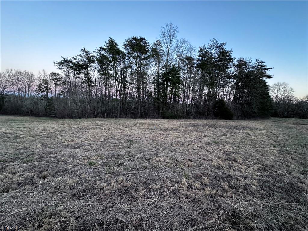 Lot 6 Johnson Road King, NC 27021 - Photo 20 of 21