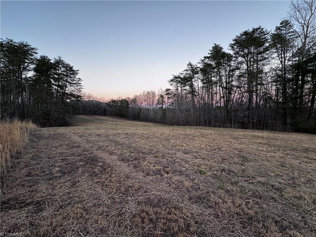 Lot 6 Johnson Road King, NC 27021 - Photo 3 of 21