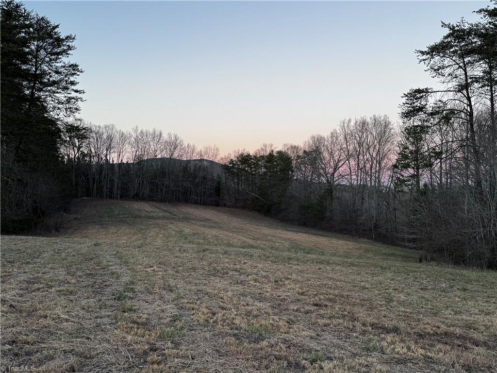 Lot 6 Johnson Road King, NC 27021 - Photo 5 of 21