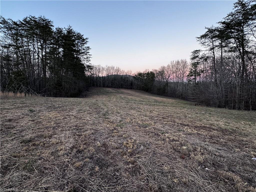 Lot 6 Johnson Road King, NC 27021 - Photo 7 of 21