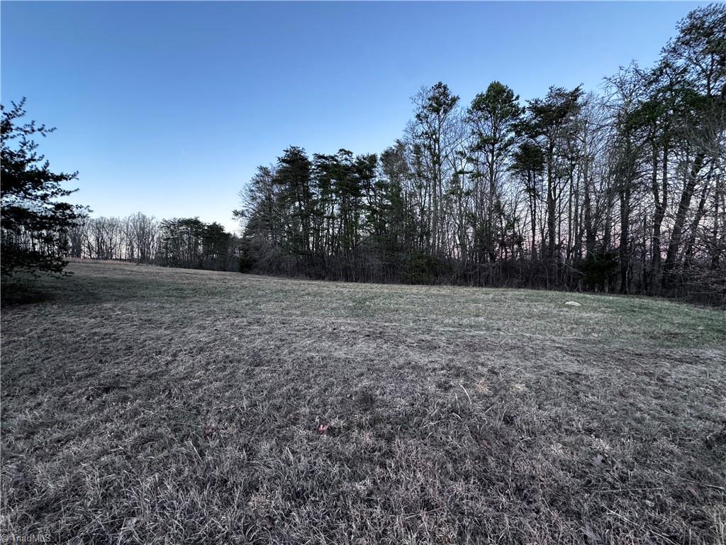 Lot 6 Johnson Road King, NC 27021 - Photo 8 of 21